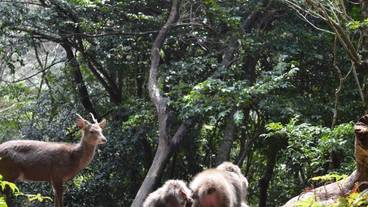 施設からの眺望 / 14