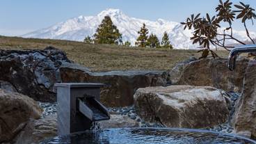 マウンテン ビュー / 35