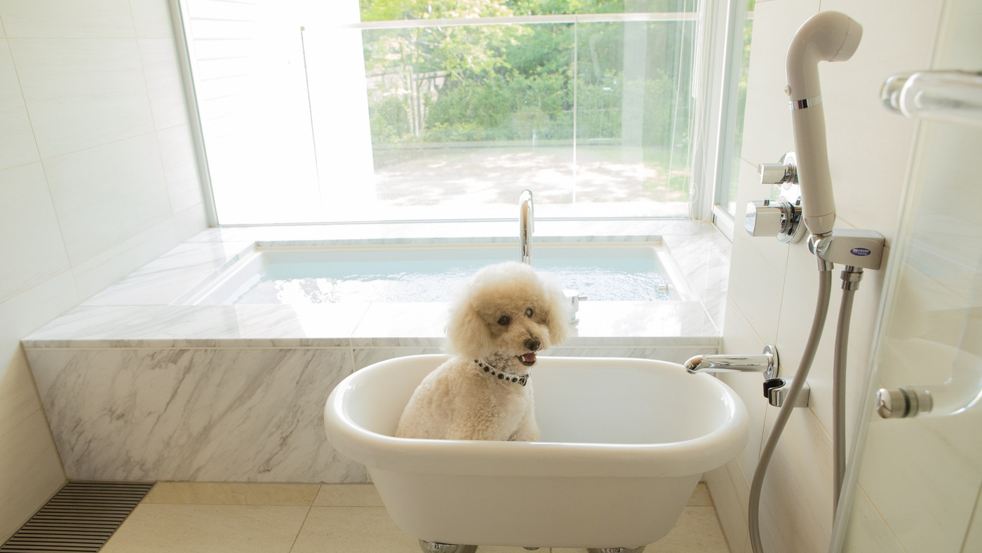 モダンなホテルで過ごす優雅なリゾートステイ4239959