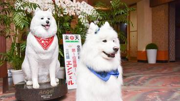 施設の入り口 / 5