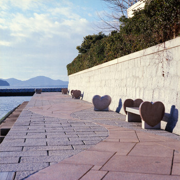 城岬公園2499416