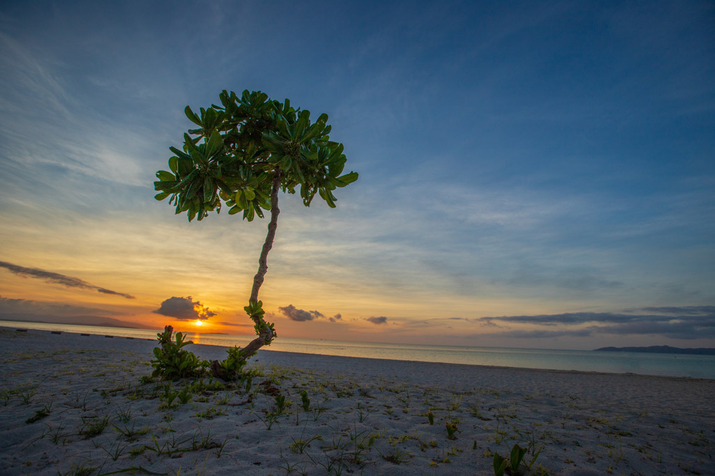 沈む夕日は宿泊する人の特権♪”島暮らし”を満喫しよう3552675