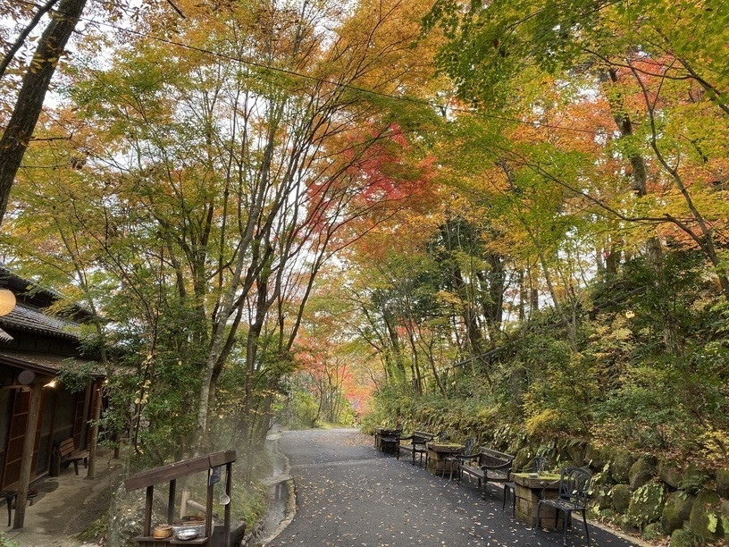 敷地内の小道／秋