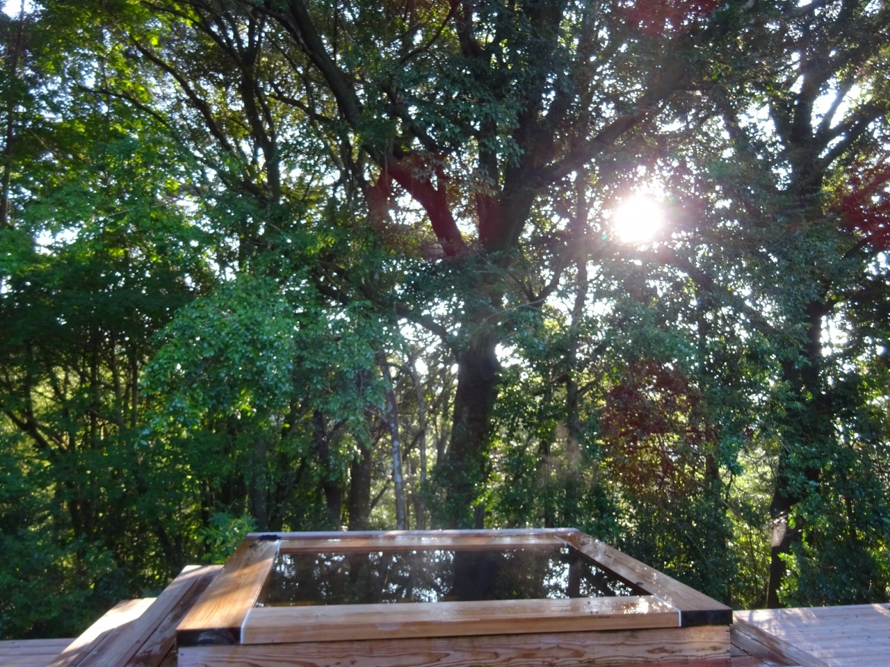 風の森【佐賀県】4758219