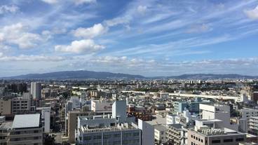 部屋からの景観 / 35