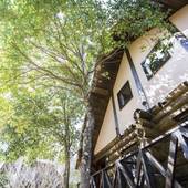 フィオーレ志摩（三重県 リゾートホテル） / 4