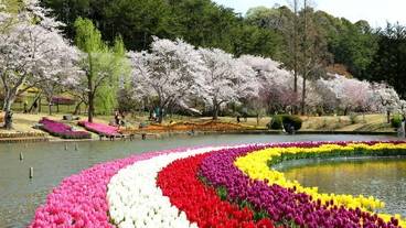 Hamamatsu Flower Park / 20