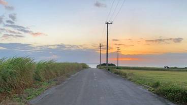 ストリート ビュー / 31