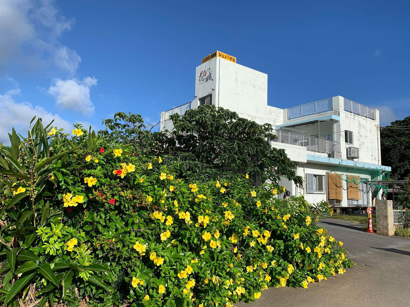 素敵なご夫婦が経営するアットホームな民宿3645348