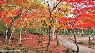 シティ ビュー / 19