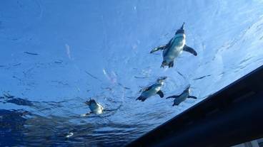 観光スポット / 7