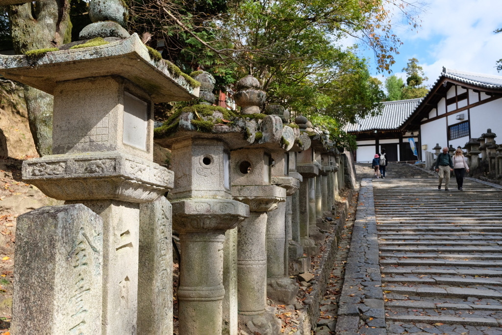 市内を一望する絶景スポットで景色と歴史に癒されよう3712199