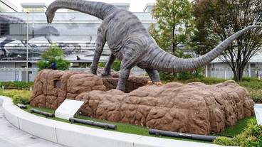 シティ ビュー / 26