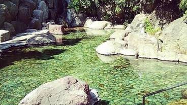 施設の敷地 / 24