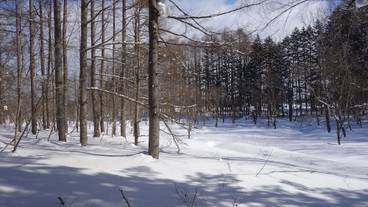 スノー スポーツとスキー / 1