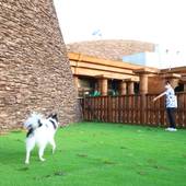 リバティーリゾート大東温泉（静岡県 リゾートホテル） / 3