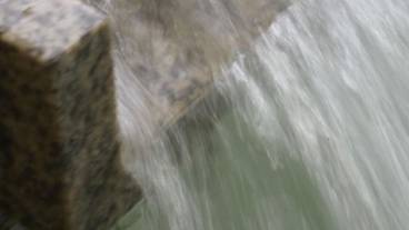 施設の敷地 / 31