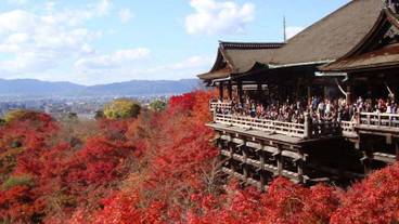 観光スポット / 8