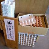 &ローカルズ 大濠公園店(アンドローカルズ)