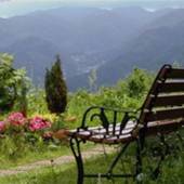 ペンション AURA（アウラ）（長野県 ペンション） / 5