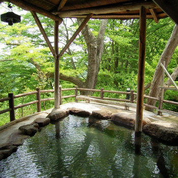 時間が足りなくなっちゃう⁉種類豊富な温泉3384742