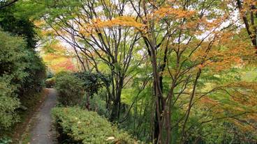 施設内の設備 / 1