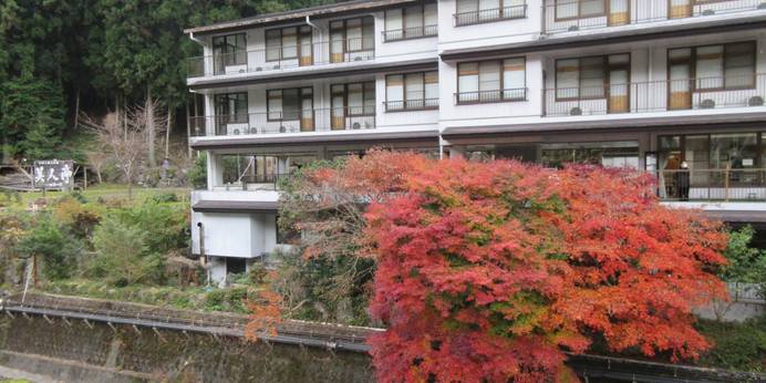 龍神小又川温泉 美人亭（和歌山県 旅館） / 1