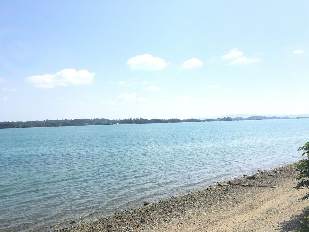 ビーチ / オーシャン ビュー