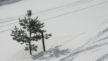 スノー スポーツとスキー / 9