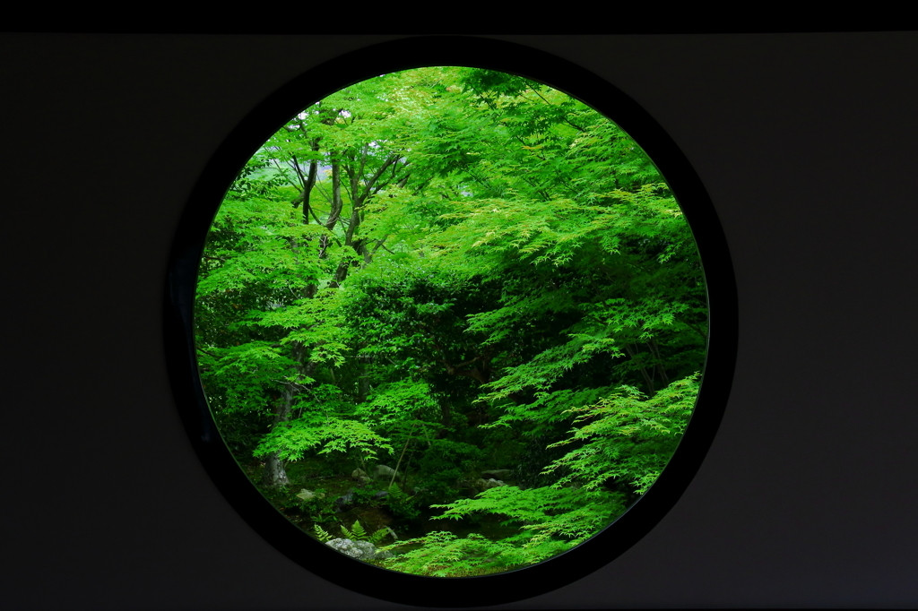 源光庵（げんこうあん）1584679