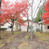 仙寿の里 ラムネ温泉（鹿児島県 民宿） / 3