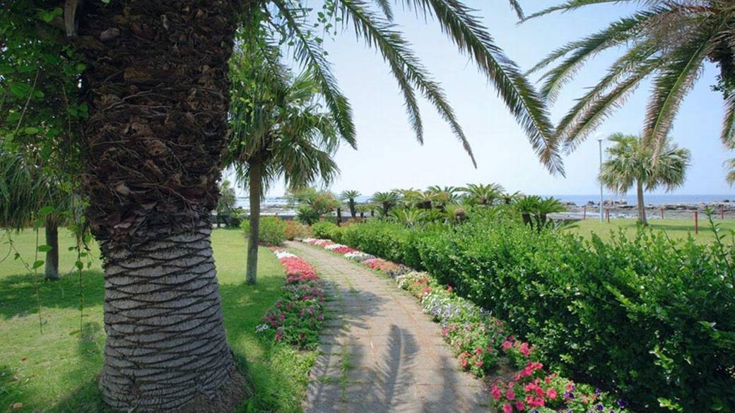 キラキラ輝く海辺を
のんびりお散歩 / 2