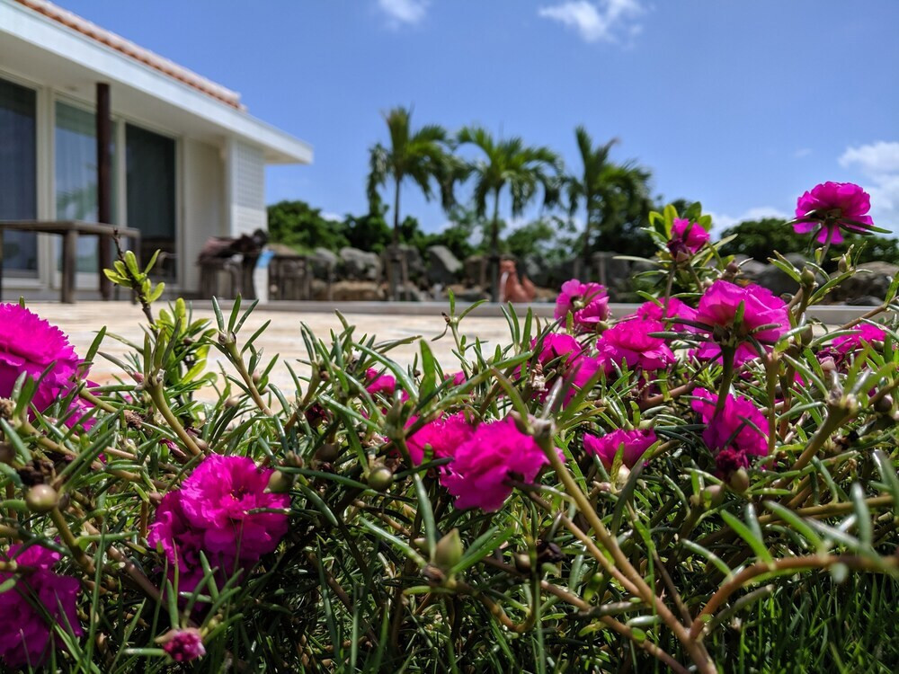 ガーデン ビュー