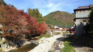 施設の敷地 / 17