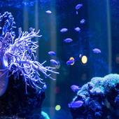 那覇東急REIホテル（沖縄県 ビジネスホテル） / 3