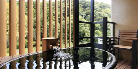 箱根湯本温泉 箱根水明荘
