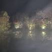 大浴場からのぞむ湯けむりの中の紅葉