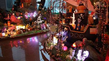 オータムフェスタ / 3