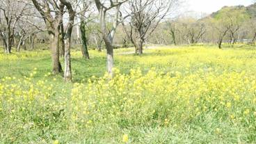 シティ ビュー / 32