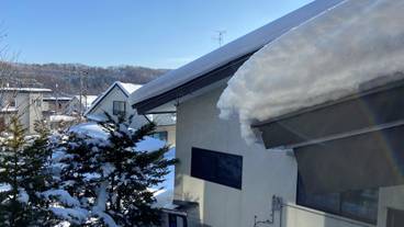 ガーデン ビュー / 24