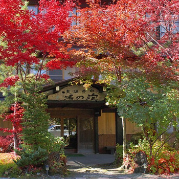 6. 白骨の名湯　泡の湯3639689