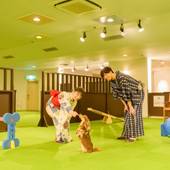 大江戸温泉物語 わんわんリゾート粟津（石川県 旅館） / 4