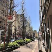 かどやホテル(東京都)(東京都 ビジネスホテル) / 5