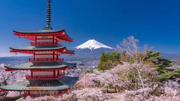 新倉山浅間公園から見る桜 / 6