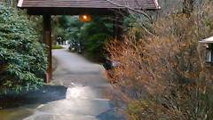 仙仁温泉 花仙庵 岩の湯