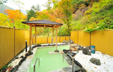 8 Best Onsen Ryokan &amp; Hotels in Okunikko!