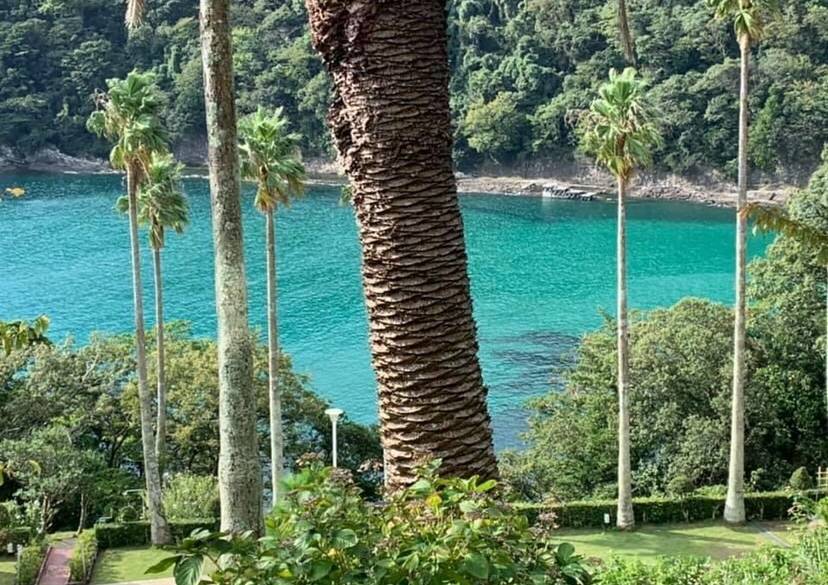 絶景の鍋田浜まで
朝のお散歩
 / 1