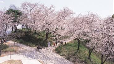 観光スポット / 3