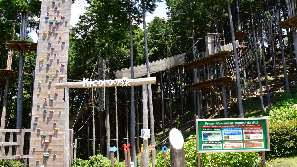 自然の中でリフレッシュ
「三島スカイウォーク」 / 3