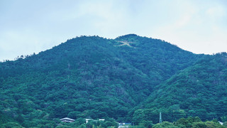 スイート シングルベッド 2 台 リバービュー (Private Hot Spring)